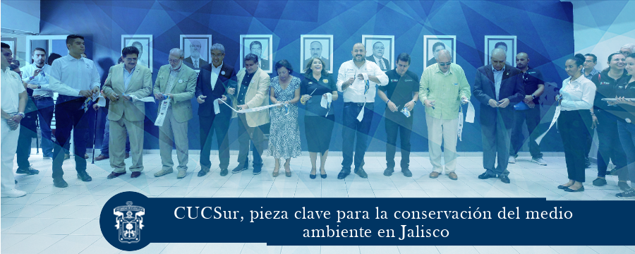 Festival 25 aniversario de la red CU Costa Sur
