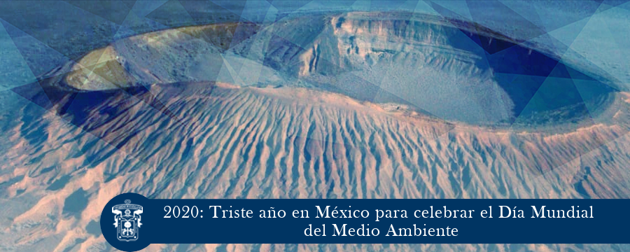 2020: Triste año en México para celebrar el Día Mundial del Medio Ambiente