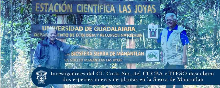 Investigadores del CU Costa Sur, del CUCBA e ITESO descubren dos especies nuevas de plantas en la Sierra de Manantlán