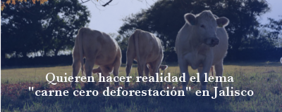 Banner: Carne cero deforestación