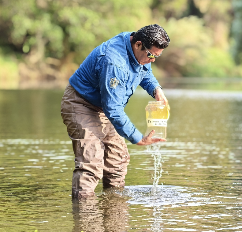 DEMETRIO MEZA RODRIGUEZ