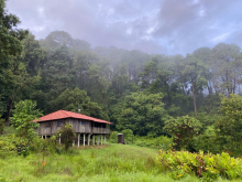 Estación Científica Las Joyas: un laboratorio natural que protege la biodiversidad de la Sierra de Manantlán
