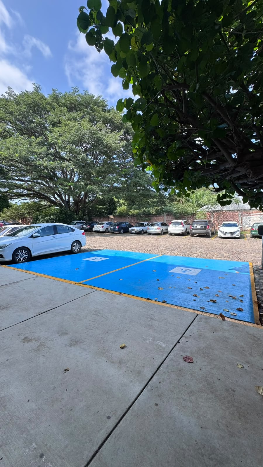 Ruta de accesibilidad con huella podotáctil en el campus