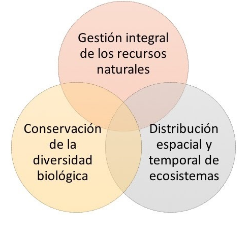 Diagrama, Diagrama de Venn

El contenido generado por IA puede ser incorrecto.