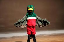 CUCSur celebró el 7º Festival del Día Mundial de las Aves Migratorias