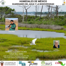 Humedales de México guardianes del agua y la biodivesidad