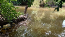 Comunidades de El Limón se involucrarán en monitoreo del río Tuxcacuesco