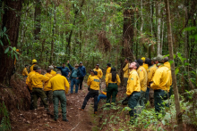 Exitosa colaboración interinstitucional: Concluye el Taller de Intercambio de Experiencias entre Jefes de Brigada y personal especializado de Manejo del Fuego