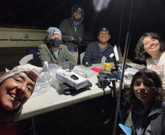 Académicos del CUCostaSur preparan guía de murciélagos de Jalisco