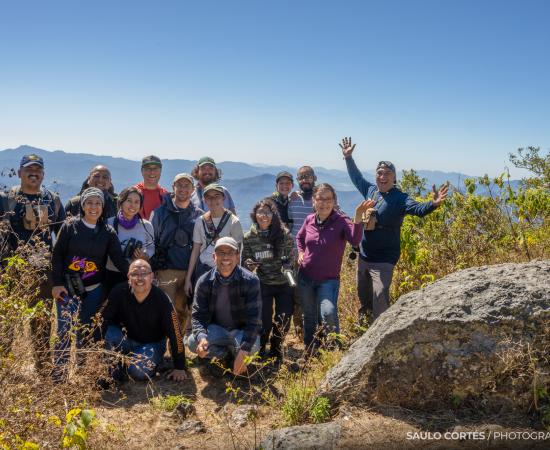 Con éxito, logran colocar radiotransmisores a varias especies de colibríes