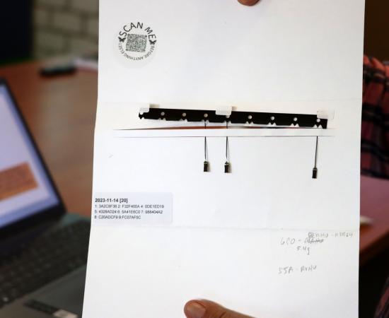 Con éxito, logran colocar radiotransmisores a varias especies de colibríes