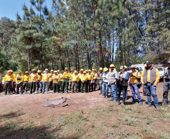 Investigadores del CUCostaSur y CUCBA publican artículo sobre fuego prescrito y conservación de aves en la Sierra de Manantlán