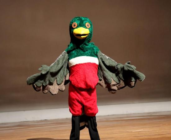 CUCSur celebró el 7º Festival del Día Mundial de las Aves Migratorias