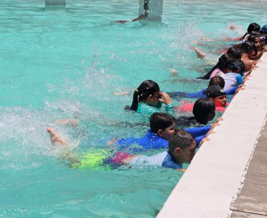 Cursos de verano 2025