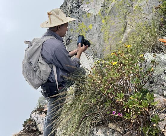 Investigadores del CU Costa Sur, del CUCBA e ITESO descubren dos especies nuevas de plantas en la Sierra de Manantlán