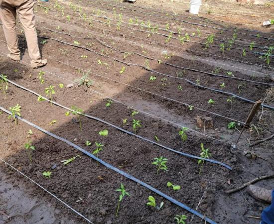 Egresados, estudiantes y especialistas dan vida a la XIX Semana IRNA