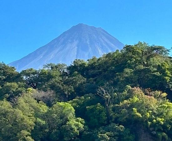 Investigadores del CUCostaSur revelan 500 años del efecto del cambio climático y las erupciones del Volcán de Colima sobre la vegetación