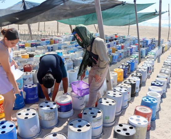 Estudiantes del CUCostaSur viven experiencia de conservación en el Campamento Tortuguero La Gloria