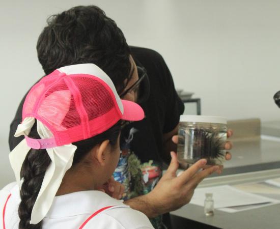 Pequeños científicos por un día