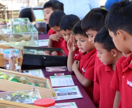 CUCostaSur, Gobierno de Autlán e instituciones unen esfuerzos por el cuidado del agua y la biodiversidad