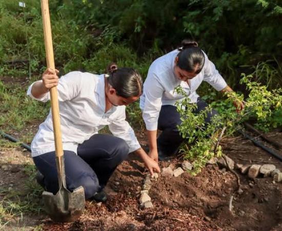 El CU Costa Sur participa en la Jornada de Reforestación 2026 “Sembrando salud, construyendo futuro”