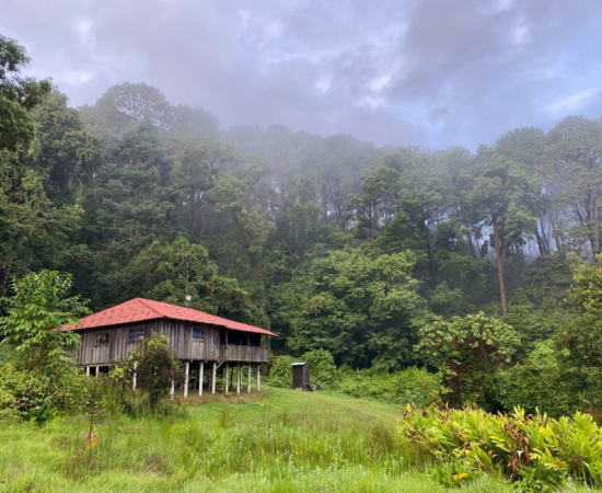 Estación Científica Las Joyas: un laboratorio natural que protege la biodiversidad de la Sierra de Manantlán