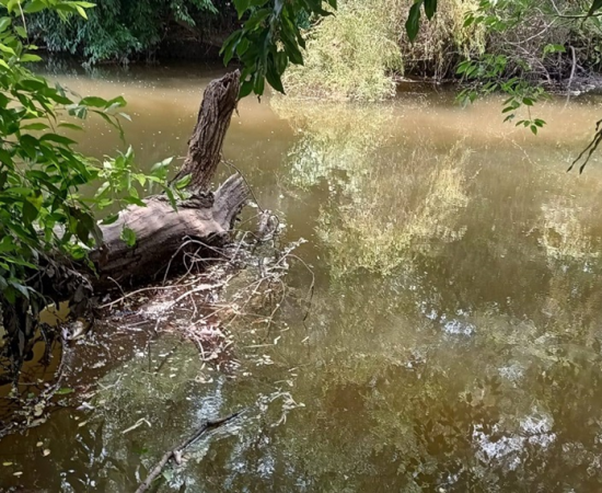Comunidades de El Limón se involucrarán en monitoreo del río Tuxcacuesco