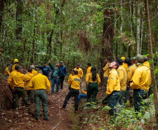 Exitosa colaboración interinstitucional: Concluye el Taller de Intercambio de Experiencias entre Jefes de Brigada y personal especializado de Manejo del Fuego