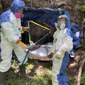 Dra. María Magdalena Ramírez Martínez impulsa desde CUCostaSur un proyecto internacional para fortalecer la prevención de la rabia
